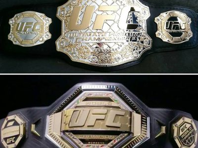 ufc13-35-311